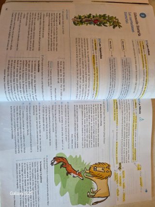 Libros Lengua y Literatura 1° ESO