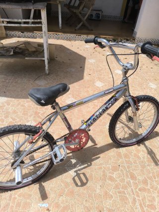 Bicicleta BMX Flatlander Top