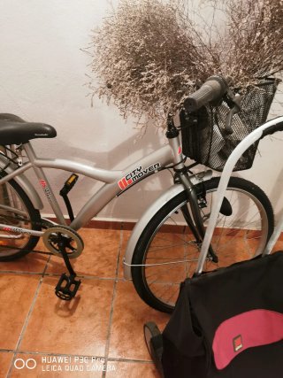 Bici de paseo City Mover