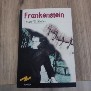 Libro Frankenstein Mary W. Shelley