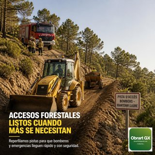 FORESTAL: poda, tala, desbrossament/desbroce