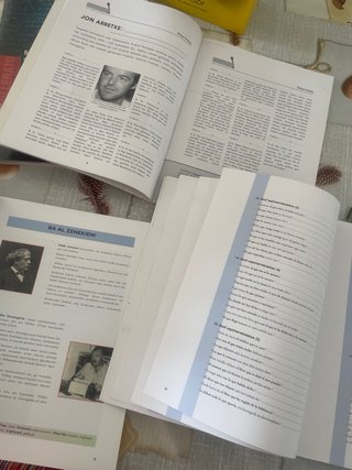 Murgil euskal hizkuntza eta literatura : Batxi (A)