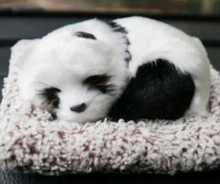 Oso panda realista con camita (Leer descripción)