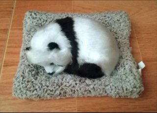 Oso panda realista con camita (Leer descripción)