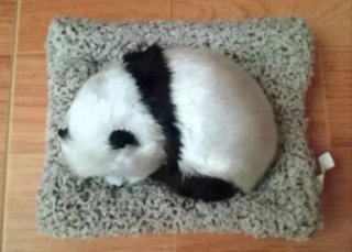 Oso panda realista con camita (Leer descripción)