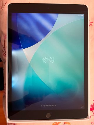 iPad 9ª Gen Argento