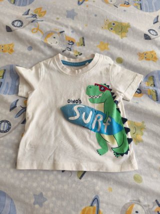 Camiseta manga corta dinosaurio surf