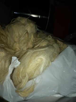 Lana per cuscini/materassi beige/bianca