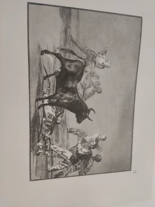 Goya tauromaquia