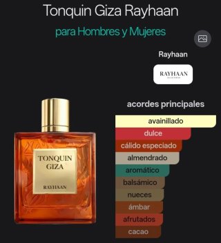 RAYHAAN - TONQUIN GIZA - HOMBRE Y MUJER