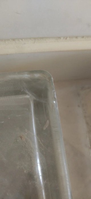 Ladrillos de vidrio para construcción
