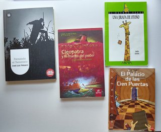 Lote Libros Infantiles y Juveniles