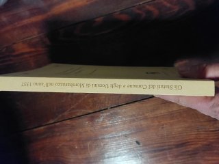 Gli statuti del Comune e degli uomini di Mombaruzz