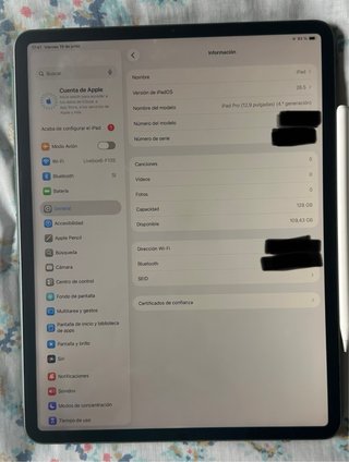 iPad Pro 12.9 4ª Gen 2020 Argento
