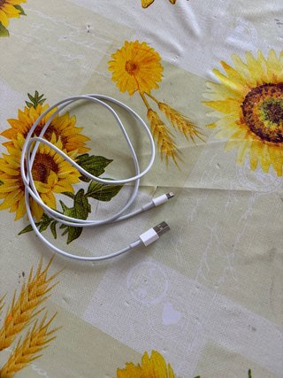 Cable iPhone Apple Original