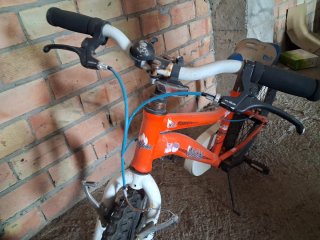 Bicicleta Infantil Wolfbike