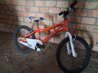 Bicicleta Infantil Wolfbike