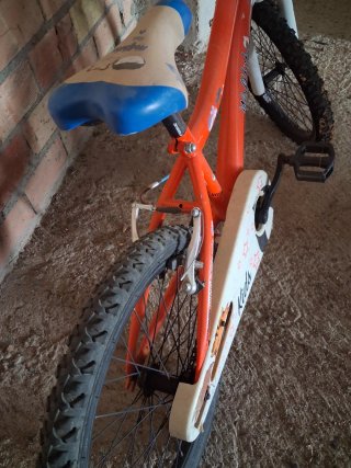 Bicicleta Infantil Wolfbike