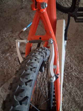 Bicicleta Infantil Wolfbike