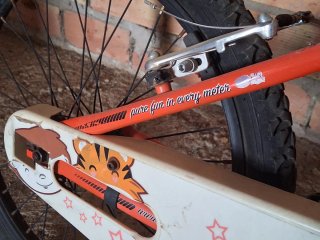 Bicicleta Infantil Wolfbike