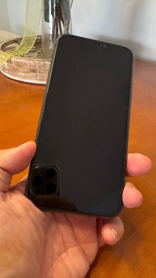 iPhone 11 Nero Batteria 100% Schermo perfetto