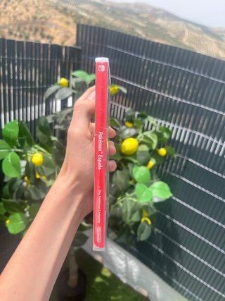Pokémon Spada Nintendo Switch Completo