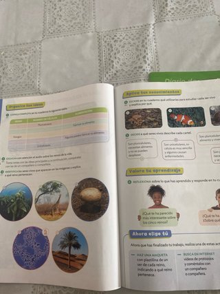 Ciencias de la Naturaleza, 4 Primaria, Proyecto...