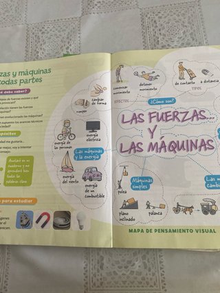 Ciencias de la Naturaleza, 4 Primaria, Proyecto...