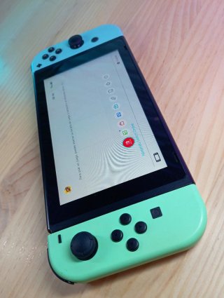 OFFERTA | NINTENDO SWITCH ANIMAL CROSSING