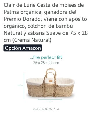 Moisés para bebé color beige