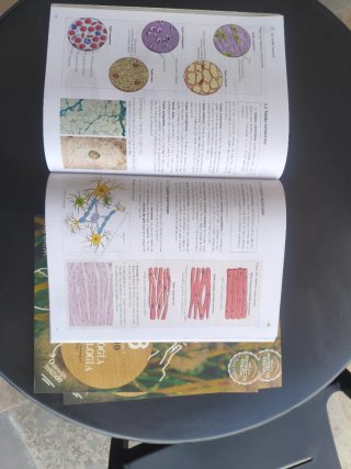 Biología y geología, 3 ESO, Operación mundo