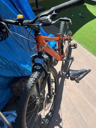 Bici Momma 24 pollici