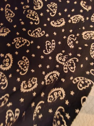 Mono corto estampado paisley