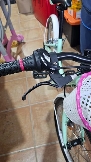 Bicicleta infantil verde con cesta