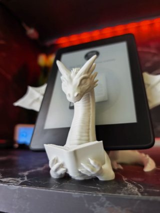 Supporto E-reader Drago Bianco
