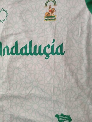Camiseta Selección Andalucía Talla L