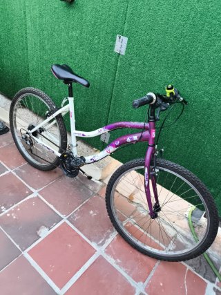 Bicicleta de Montaña para Adulto