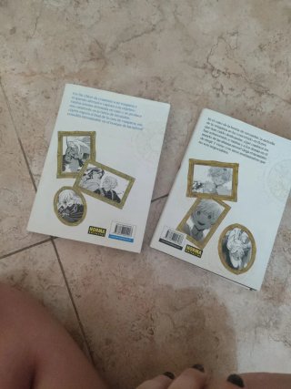 LOS APUNTES DE VANITAS 02