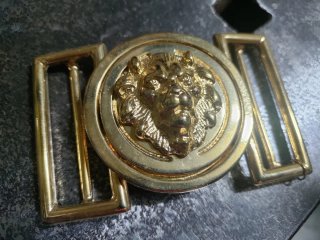 Fibbia dorata con leone