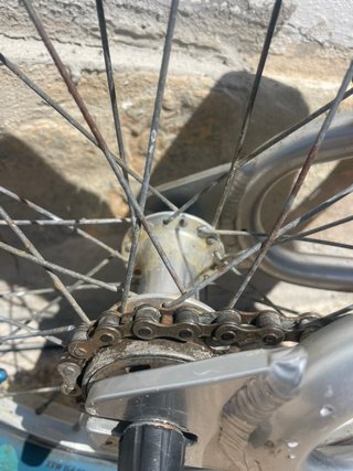 SE Racing Lil' Ripper 16 BMX Plata 2017