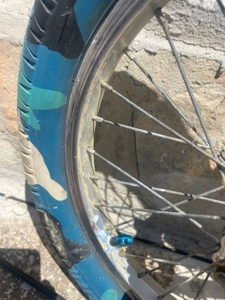 SE Racing Lil' Ripper 16 BMX Plata 2017