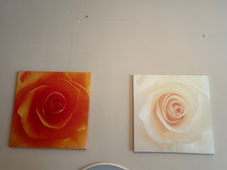 Cuadro floral decorativo