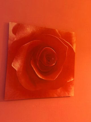 Cuadro floral decorativo