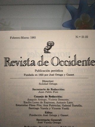 Revista de accidente