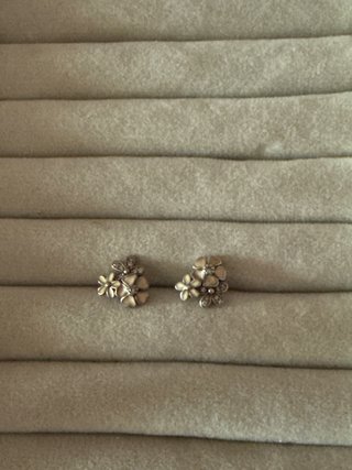 Pendientes Pandora Flores