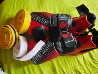 Guantes de boxeo y 3 cinturones