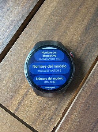 Huawei Watch 5 Titanio