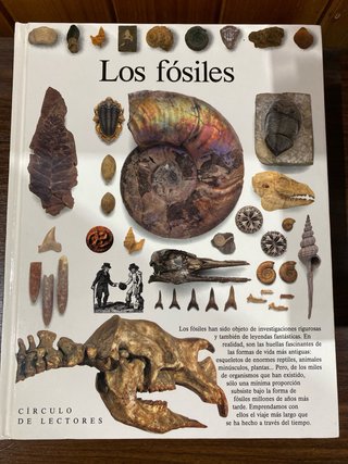 5 enciclopedias sobre todo tipo de curiosidades