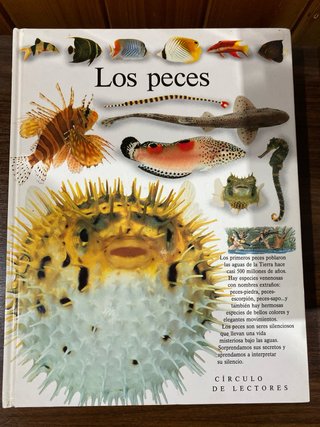 5 enciclopedias sobre todo tipo de curiosidades