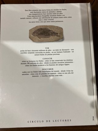 5 enciclopedias sobre todo tipo de curiosidades